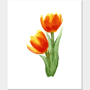 Painterly Watercolour Flowers Tulips Yellow Orange Red Posters and Art